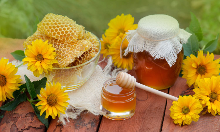 Trà hoa cúc mật ong có tác dụng kháng viêm, giảm đau, trào ngược dạ dày rất tốt