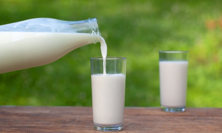 đau dạ dày uống sữa đậu nành được không